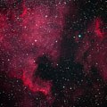 Foto NGC 7000