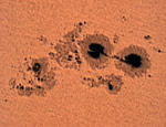 Foto Sonnenflecken