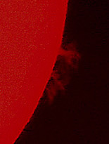 Foto Sonne mit Protuberanzen