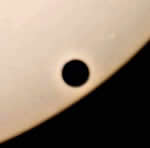Foto Venustransit