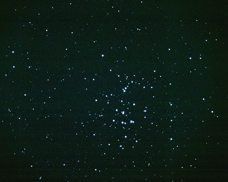 Foto M44