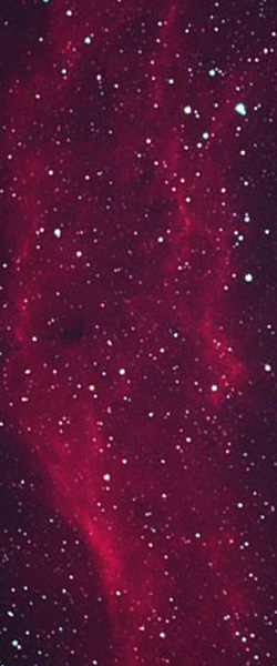 NGC 1499, Reiner Wolf NGC 1499_200